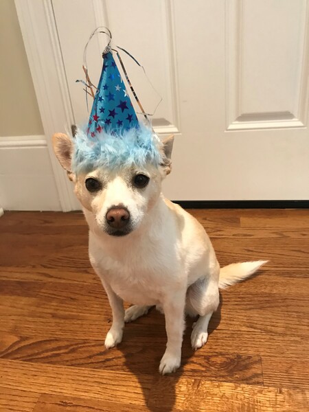 Milo