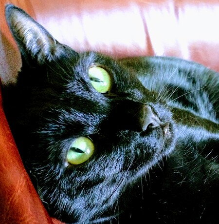 Oliver
