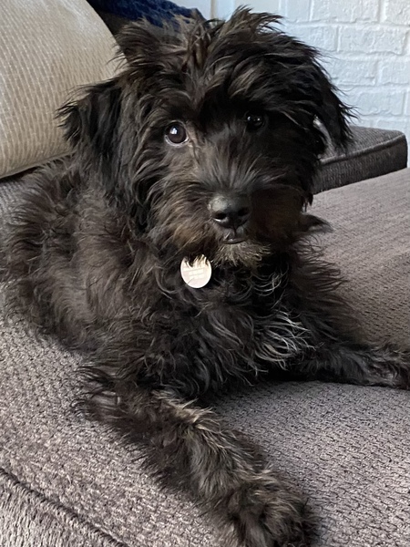 Maggie Mae