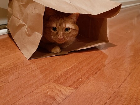 Spice