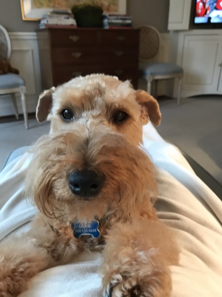 Sophie