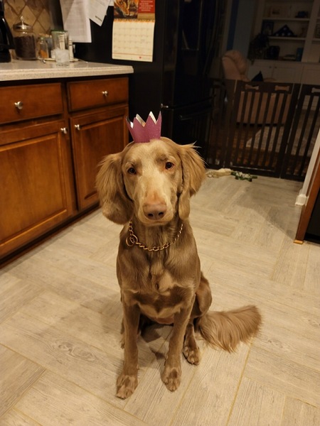 Milly