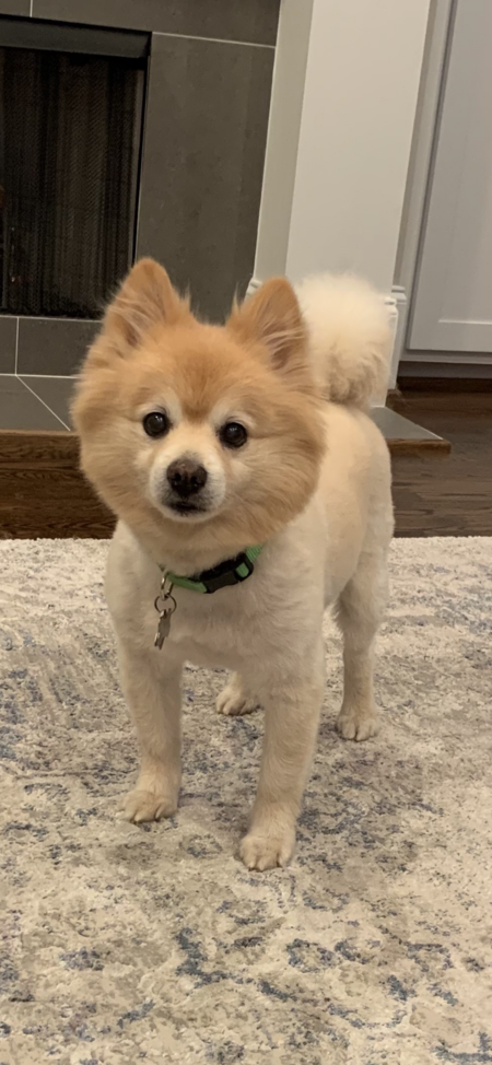 Riley Love
