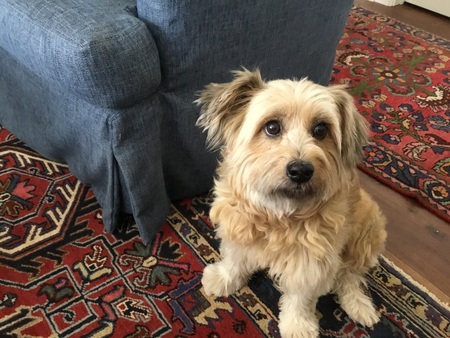 Coco Chanel