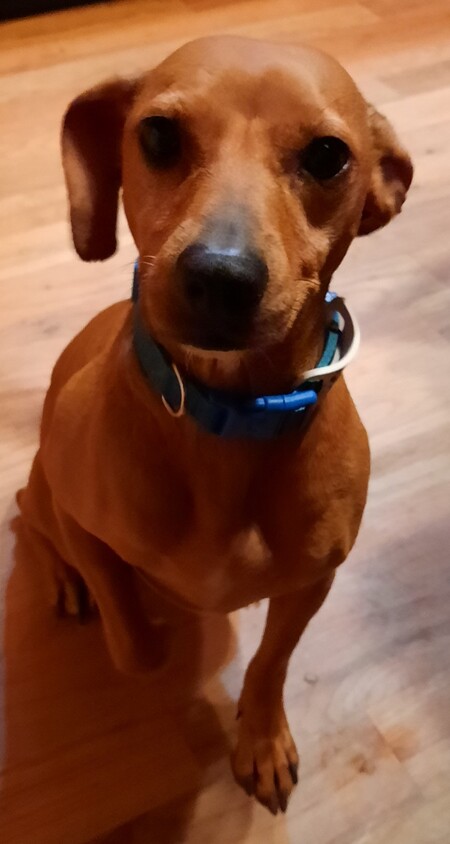 Sam