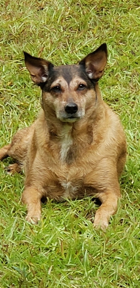 Fergus Maxximus