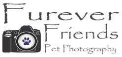 Furever Friends Pet Photography