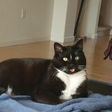 Entry image for Hunter