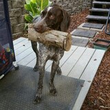 Entry image for Boone