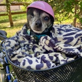 Entry image for Harriet