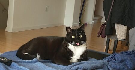 Entry image for Hunter. Clicking this image will show a larger photo