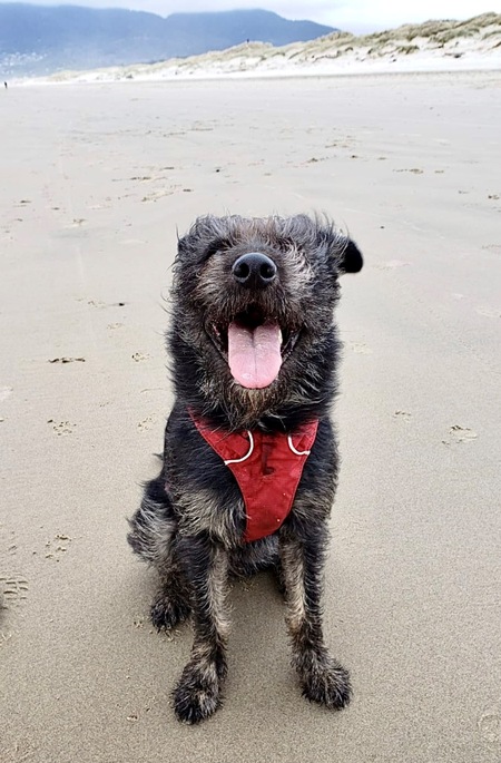 Entry image for Lenny. Clicking this image will show a larger photo