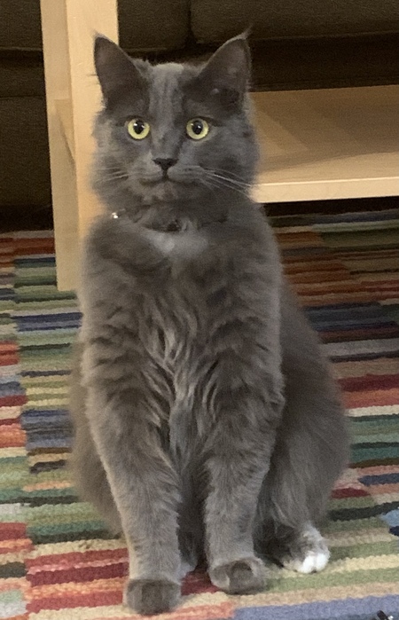 Entry image for Bjørn . Clicking this image will show a larger photo