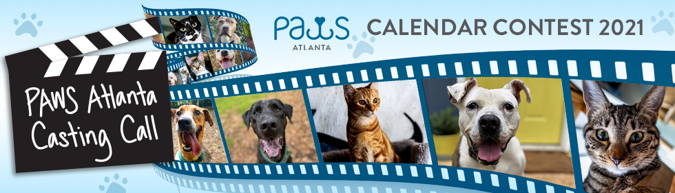 Banner for PAWS Atlanta Calendar Contest 2021