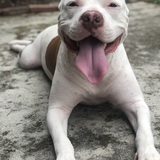 Entry image for Andrew