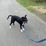 Entry image for Maggie