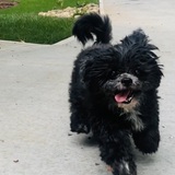 Entry image for Diamond 