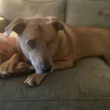 Entry image for Ares