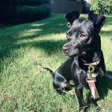 Entry image for Paige 