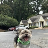 Entry image for Jack