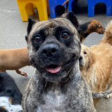 Entry image for Natasha