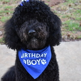 Entry image for Blackjack 