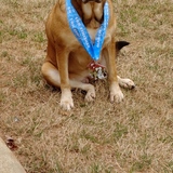 Entry image for KC Davis