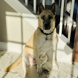 Entry image for Zeus