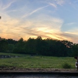 Entry image for Cornpup