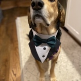 Entry image for Karl