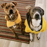 Entry image for Marbles and Jewels