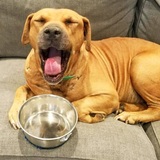 Entry image for Bubba