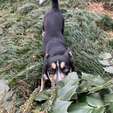 Entry image for Oakley