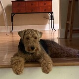 Entry image for Waldo