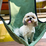 Entry image for Chompers