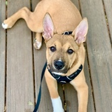 Entry image for Sami-Elle Jackson