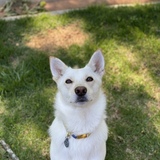 Entry image for Frosty