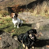 Entry image for Andy & Johnny