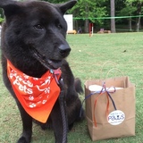 Entry image for Callie Brubaker