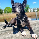 Entry image for Ze'eva ("Zeb")