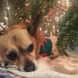 Entry image for Finnegan