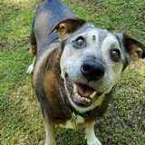 Entry image for Sergei