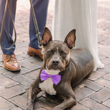 Entry image for Charlie