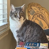 Entry image for Paris Joy 