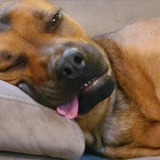 Entry image for Berkley 