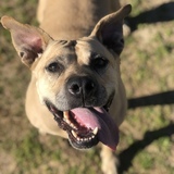 Entry image for Sparkles 