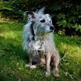 Entry image for Gladys