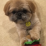 Entry image for Ernie