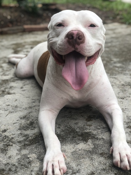 Entry image for Andrew. Clicking this image will show a larger photo