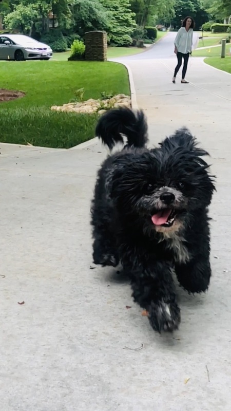 Entry image for Diamond . Clicking this image will show a larger photo